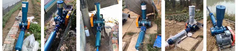 微孔曝氣羅茨鼓風(fēng)機(jī)增氧機(jī)運(yùn)行案例 微孔曝氣羅茨鼓風(fēng)機(jī)增氧機(jī)運(yùn)行案例