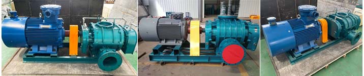 直聯(lián)傳動(dòng)羅茨風(fēng)機(jī) 直聯(lián)傳動(dòng)羅茨風(fēng)機(jī)